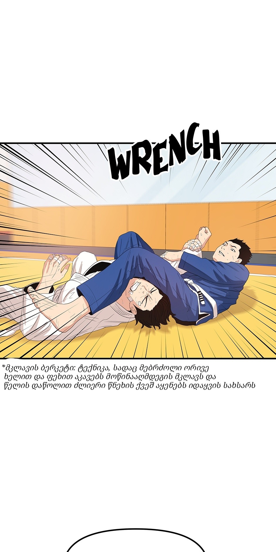 Page (46)